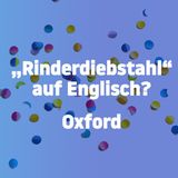 Jetzt noch flacher!: Weil's so doof war: Noch mehr blöde Witze ohne jedes Niveau