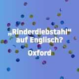 Jetzt noch flacher!: Weil's so doof war: Noch mehr blöde Witze ohne jedes Niveau