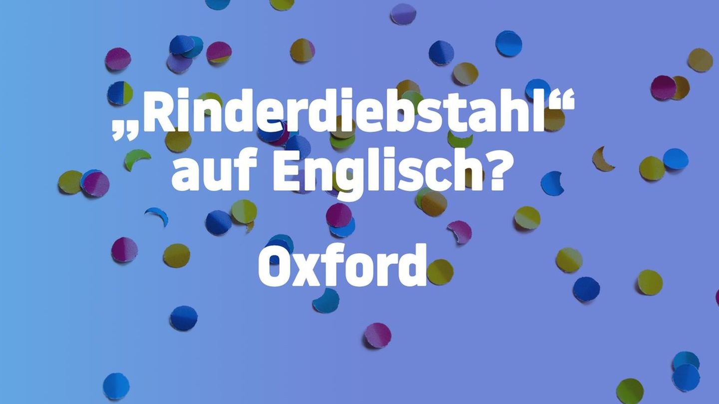 Jetzt noch flacher!: Weil's so doof war: Noch mehr blöde Witze ohne jedes Niveau