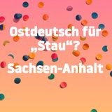 Jetzt noch flacher!: Weil's so doof war: Noch mehr blöde Witze ohne jedes Niveau