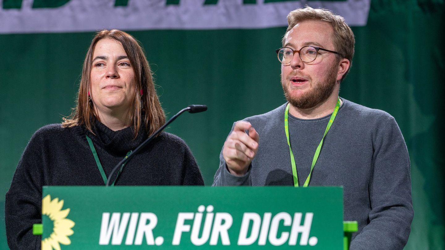 Die Grünen in Rheinland-Pfalz wählen eine neue Parteispitze.(Archivfoto) Foto: Harald Tittel/dpa