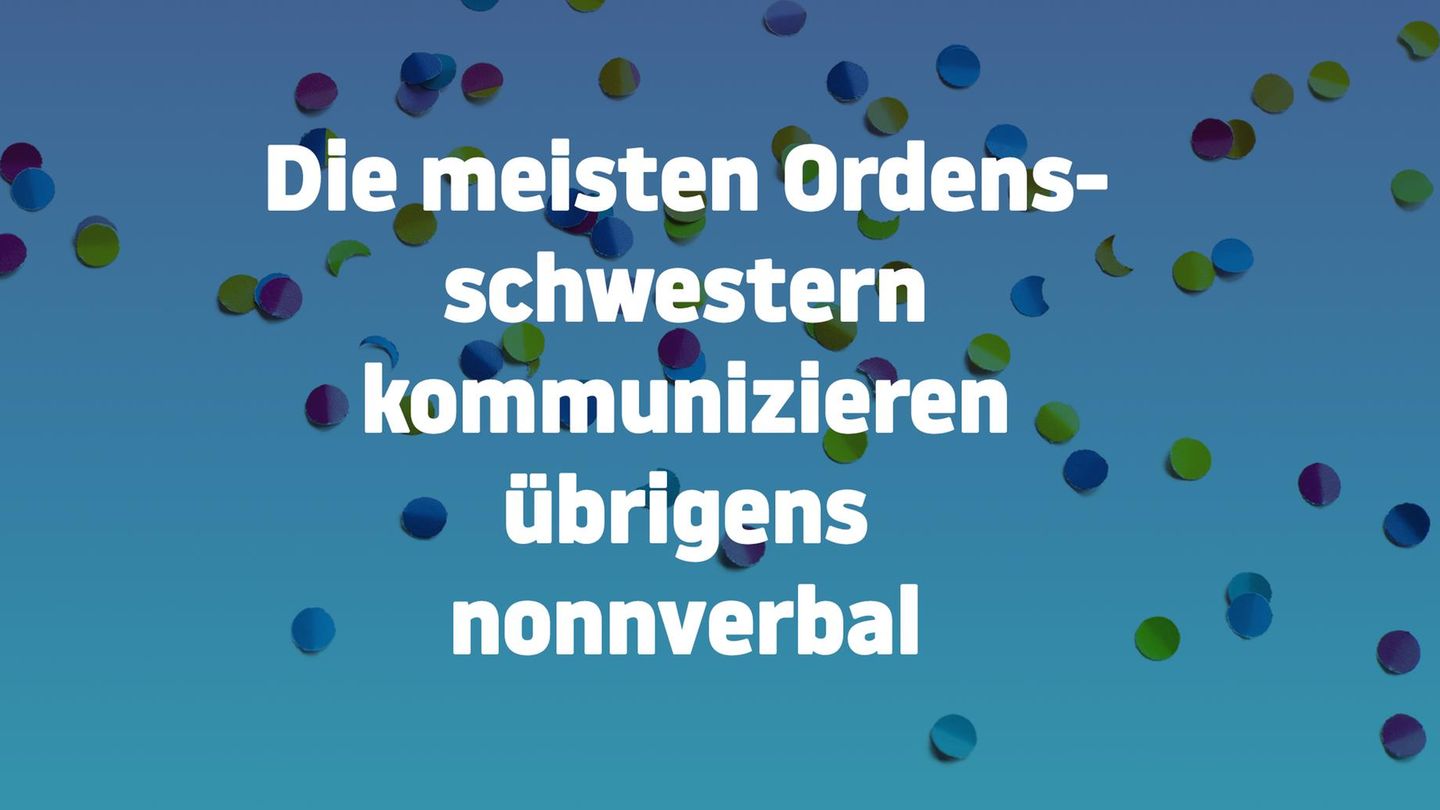 Jetzt noch flacher!: Weil's so doof war: Noch mehr blöde Witze ohne jedes Niveau