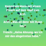 Jetzt noch flacher!: Weil's so doof war: Noch mehr blöde Witze ohne jedes Niveau