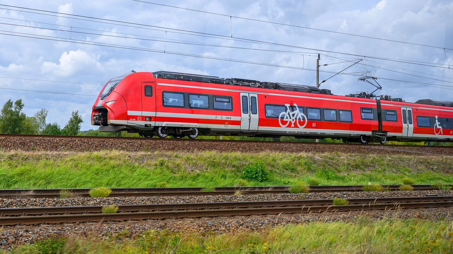 Weil ein Zug liegenblieb, setzen einige Fahrgäste ihre Reise zu Fuß fort. (Symbolbild) Foto: Patrick Pleul/dpa