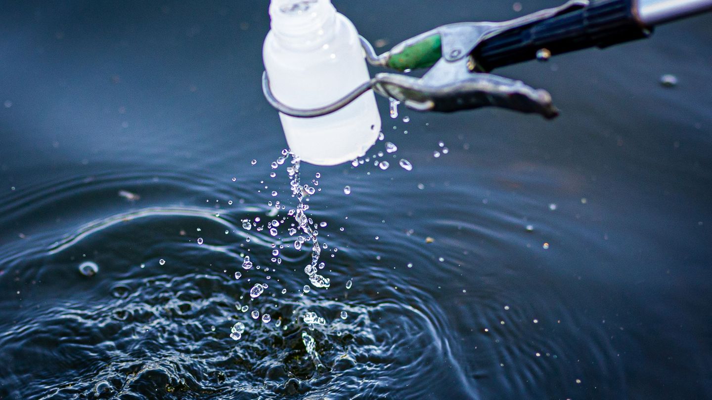 Das Umweltamt und das Amt für Veterinärwesen und Lebensmittelkontrolle des Landkreises Harz haben Proben des Wassers und der Fis