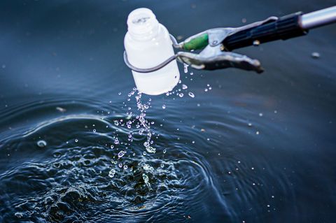Das Umweltamt und das Amt für Veterinärwesen und Lebensmittelkontrolle des Landkreises Harz haben Proben des Wassers und der Fis