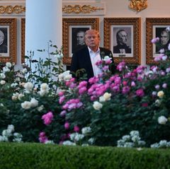 Donald Trum im Rosengarten des Weißen Hauses