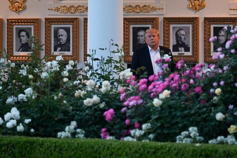 Donald Trum im Rosengarten des Weißen Hauses