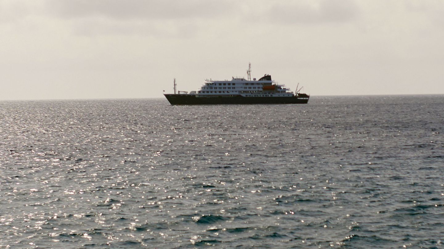 Gefährlicher Erreger: Hantavirus-Ausbruch auf Schiff: Was wir wissen und was nicht