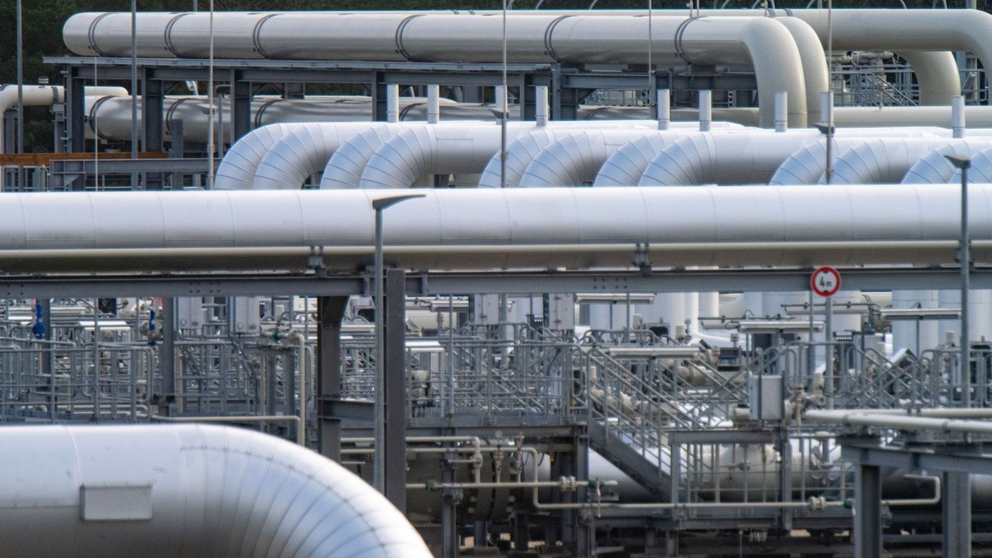 Gibt es für den Untersuchungsausschuss zu Nord Stream 2 bald neue Erkenntnisse? (Archivbild) Foto: Stefan Sauer/dpa