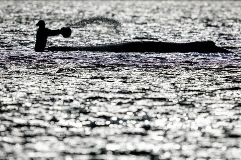 Daten zum Verbleib des Wals fehlen vorerst - was bleibt vom Trubel um den Wal? Foto: Jens Büttner/dpa
