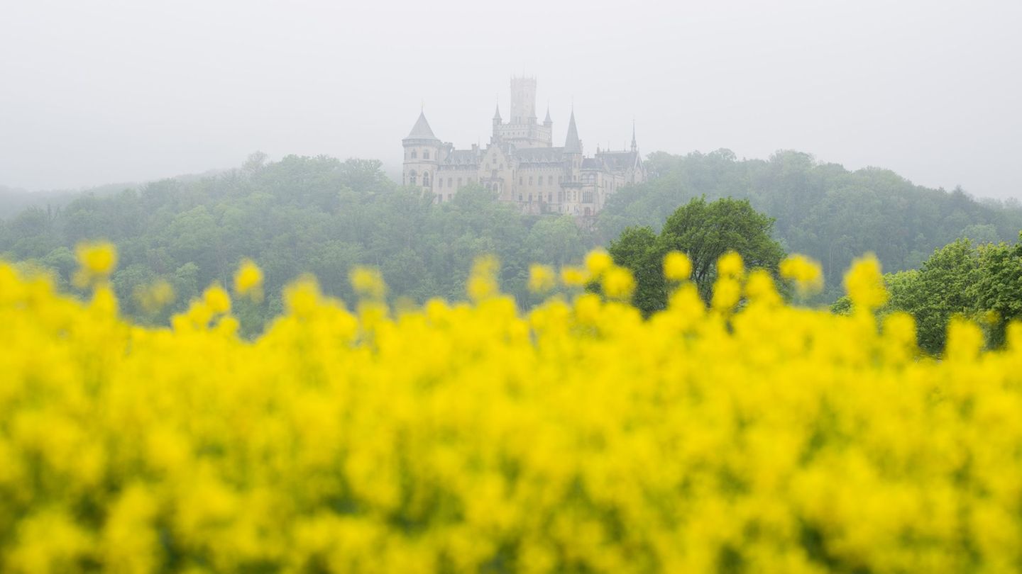 Am Mittwoch wird es in Niedersachsen und Bremen nass - zum Wochenende sagt der DWD Besserung vorher. Foto: Julian Stratenschulte
