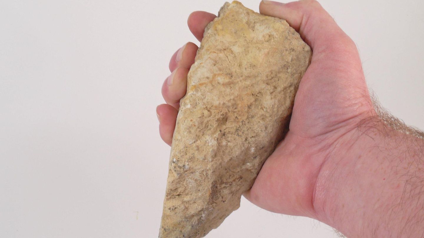 Nützlicher Daumen  Vor rund zwei Millionen Jahren entwickelte sich in der Evolution des Vormenschen der opponierbare (gegenüberstehende) Daumen. Er ist besonders beweglich und ermöglicht den sogenannten Pinzettengriff. Erst dadurch wurde die Hand zum sehr präzisen Greiforgan für Werkzeuge aller Art. Neben dem Menschen besitzen auch andere Primaten sowie das Chamäleon und der Koalabär einen Daumen. So flexibel wie der des Menschen sind diese allerdings nicht. 