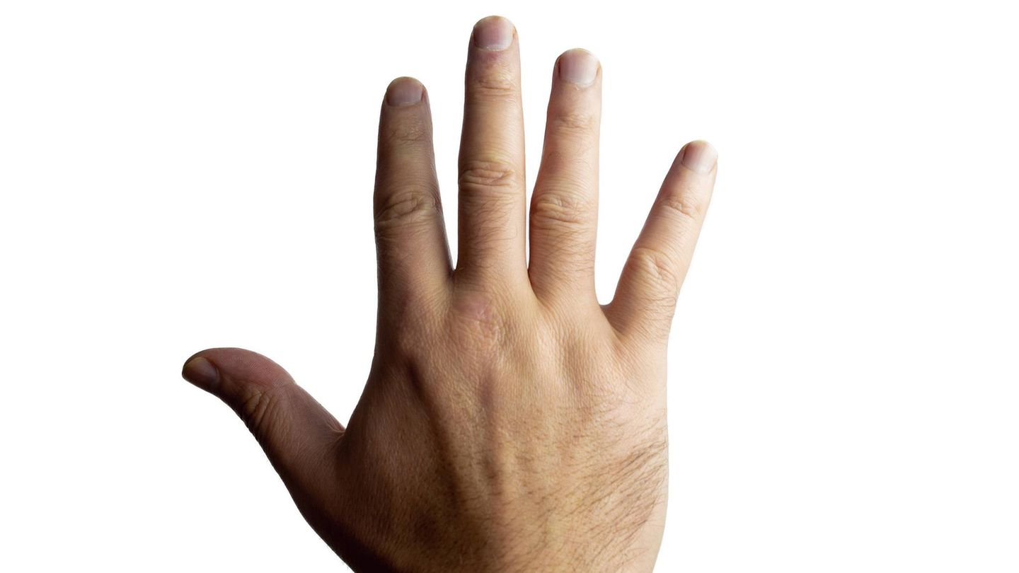 Männliche Hand von oben