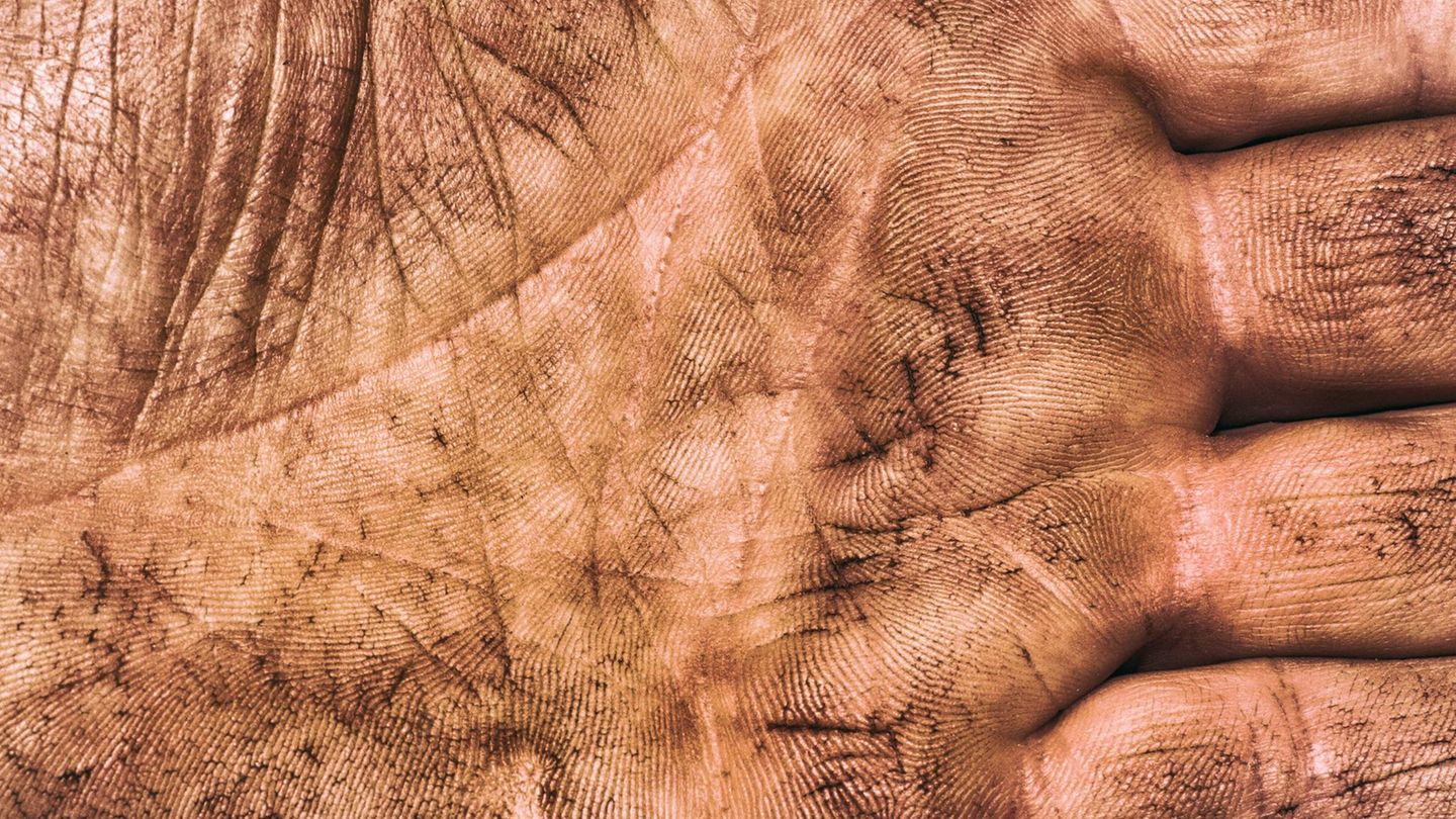 Gut zu wissen: Zehn Dinge, die unsere Hände so besonders machen