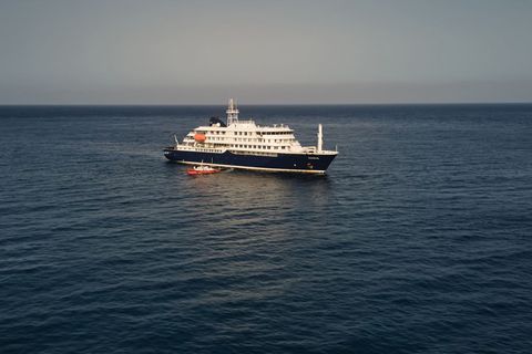 Laut WHO sind drei Patienten von der "Hondius" evakuiert worden und auf dem Weg in die Niederlande. Foto: Arilson Almeida/AP/dpa