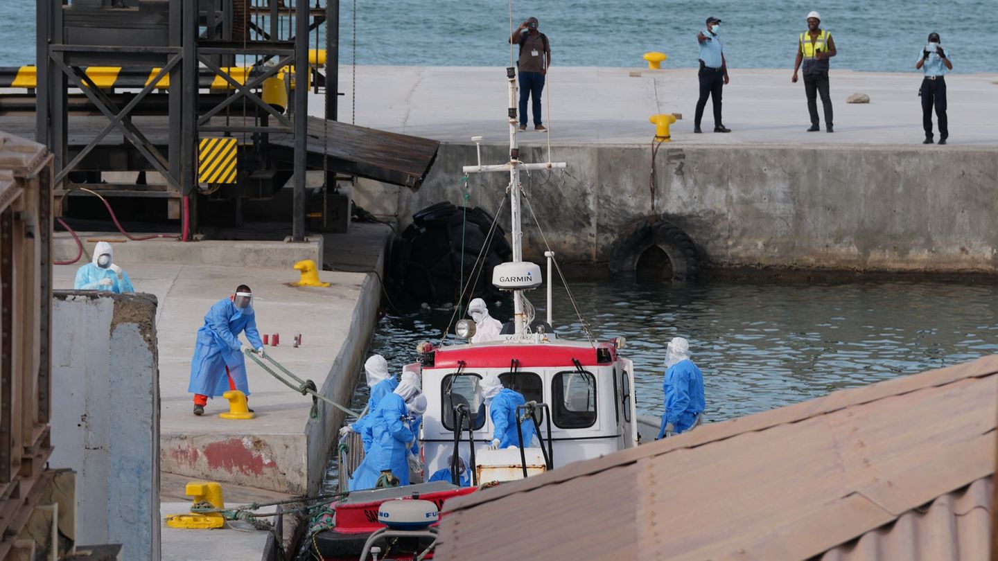 Krankheit auf Kreuzfahrtschiff: Wie gefährlich ist das Hantavirus auf einem Kreuzfahrschiff?