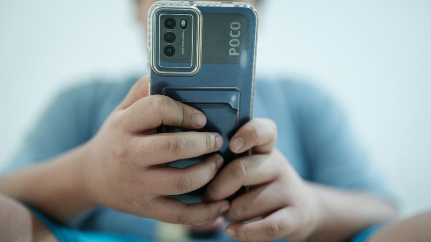 Onlinedienste werden in Indonesien intensiv genutzt