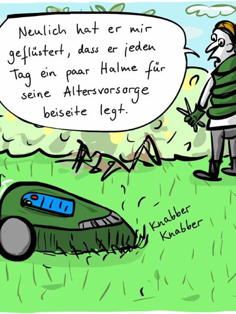 Humor: Wenn der Mähroboter an die Altersvorsorge denkt