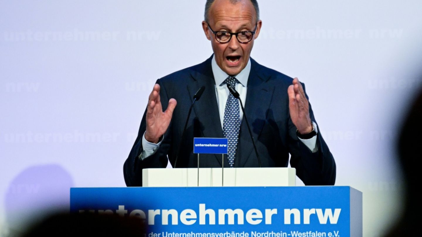 Merz wirbt für Reformpolitik seiner Regierung - und nimmt die SPD in die Pflicht