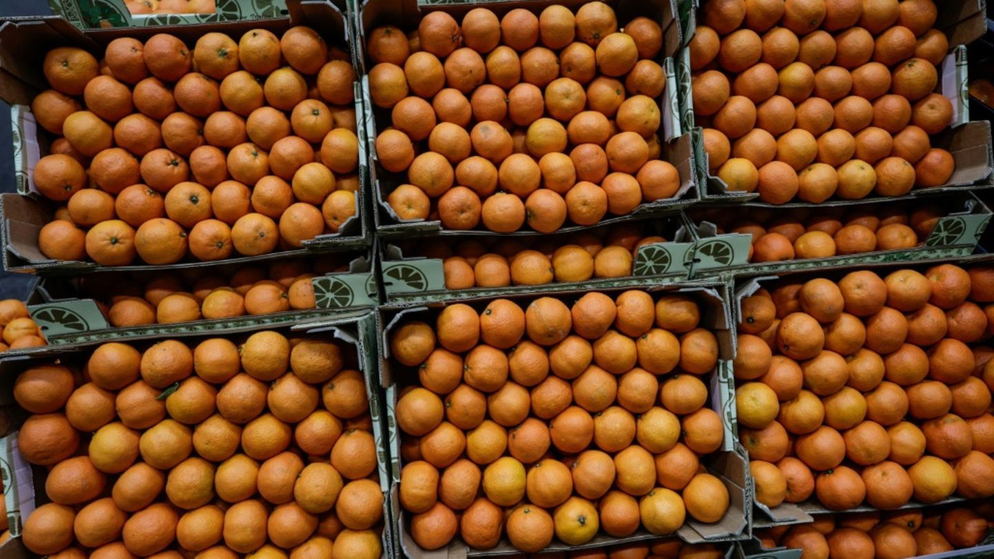 Ebenfalls orange: Orangen