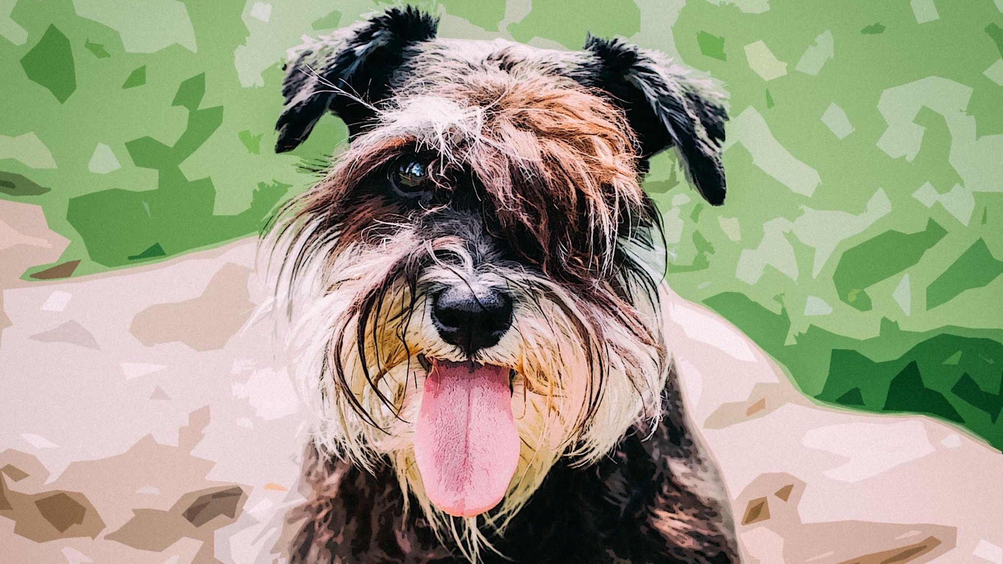 Serie: Fell, Chaos, Liebe: Huch, unser Hund ist dauergeil