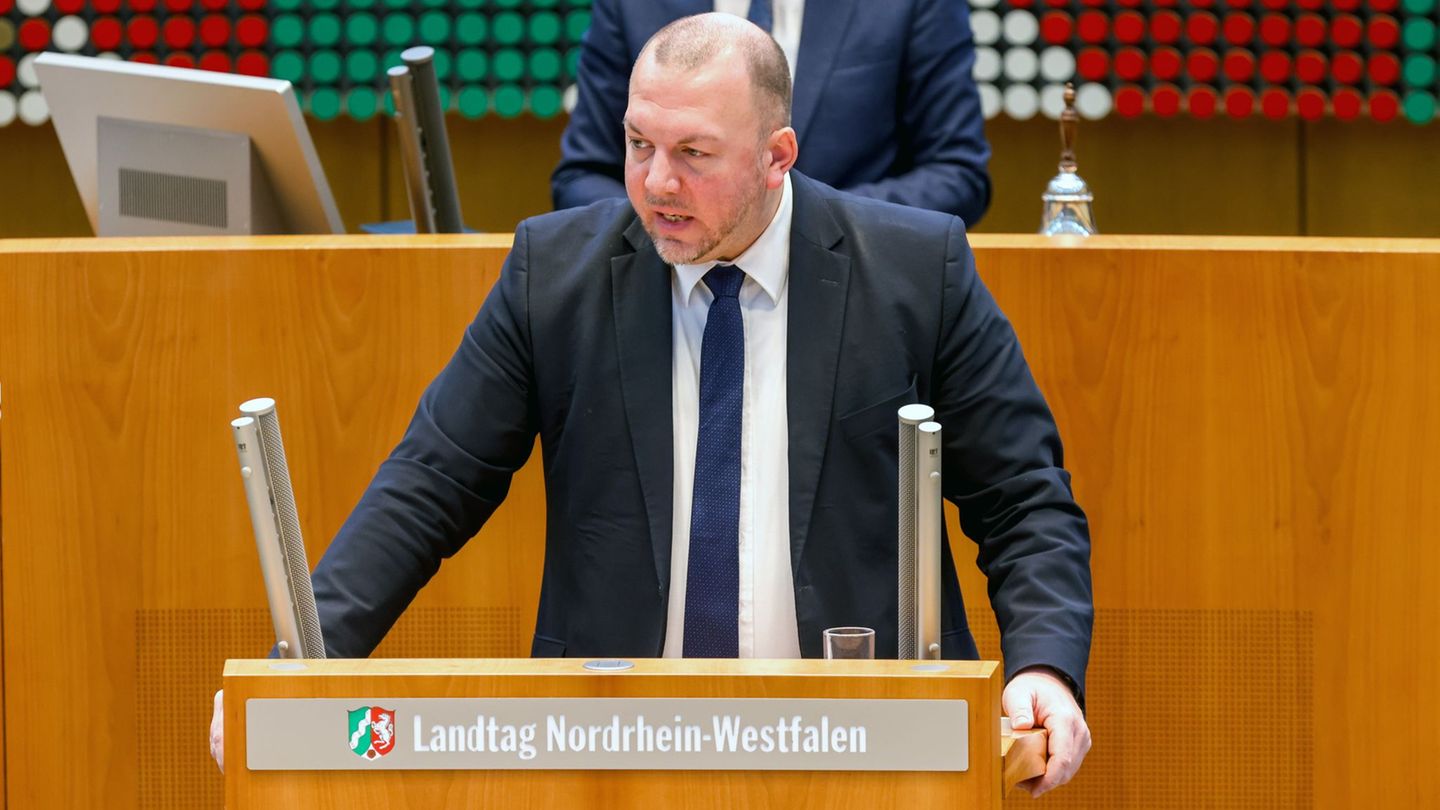 Klaus Esser (AfD) bei einer Rede im Landtag (Archivfoto) Foto: Thomas Banneyer/dpa