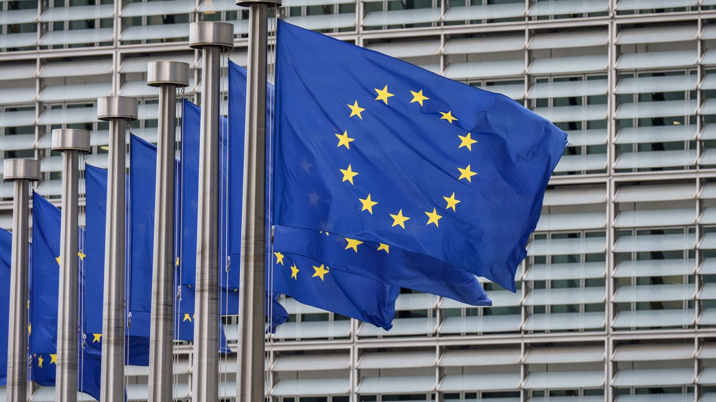Die EU-Kommission genehmigt ein milliardenschweres Beihilfeprogramm Deutschlands für den Klimaschutz in der Industrie. (Symbolbi