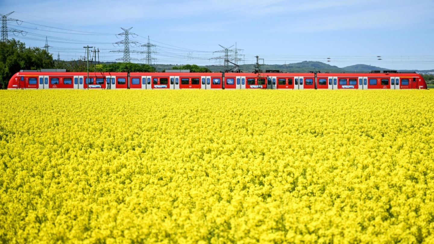 Regionalbahn bei Frankfurt
