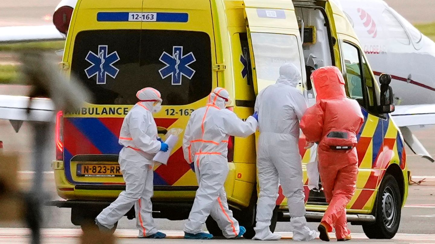 Untersuchungen auf das Hantavirus laufen noch. Foto: Peter Dejong/AP/dpa