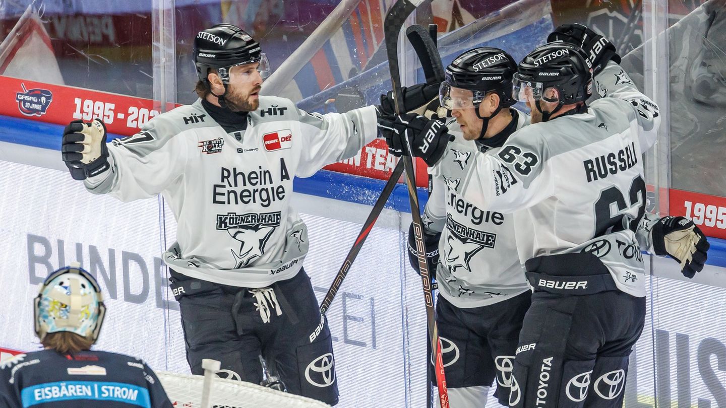 Die Kölner Haie bekommen einen neuen Chefcoach. (Archivbild) Foto: Andreas Gora/dpa
