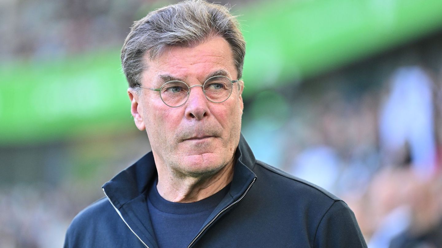Wolfsburg-Trainer Dieter Hecking. Foto: Swen Pförtner/dpa