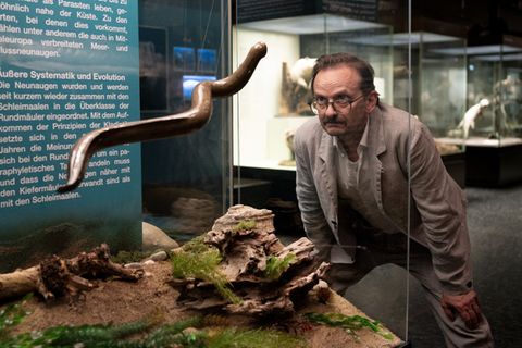 Beim Abgleich der Bissspuren an den Mordopfern mit Bildern im Internet findet Danowski (Milan Peschel) heraus, dass sie von Neunaugen stammen müssen. Im Museum erfährt er mehr über die "lebenden Fossilien".