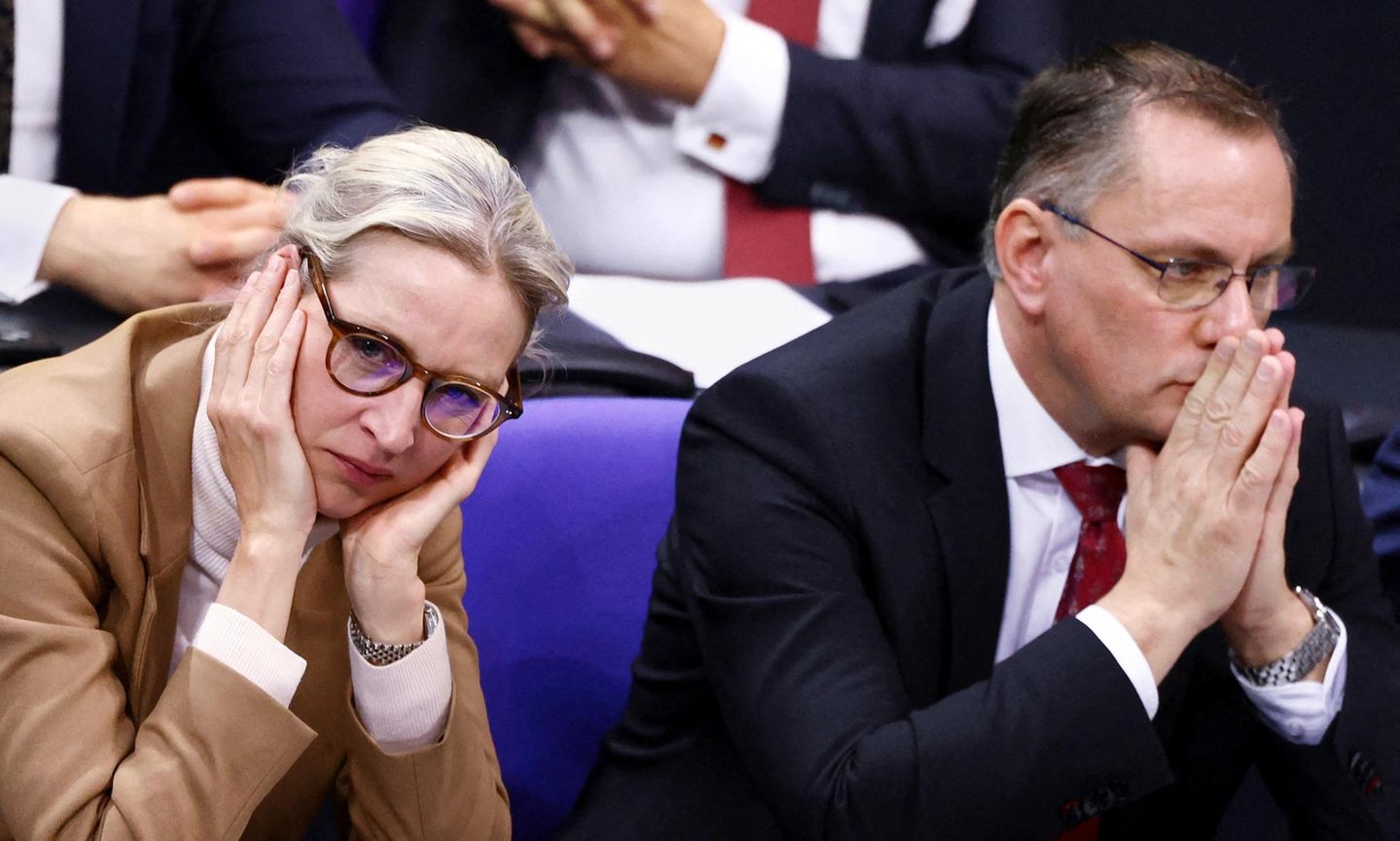 Die AfD-Vorsitzenden Alice Weidel und Tino Chrupalla