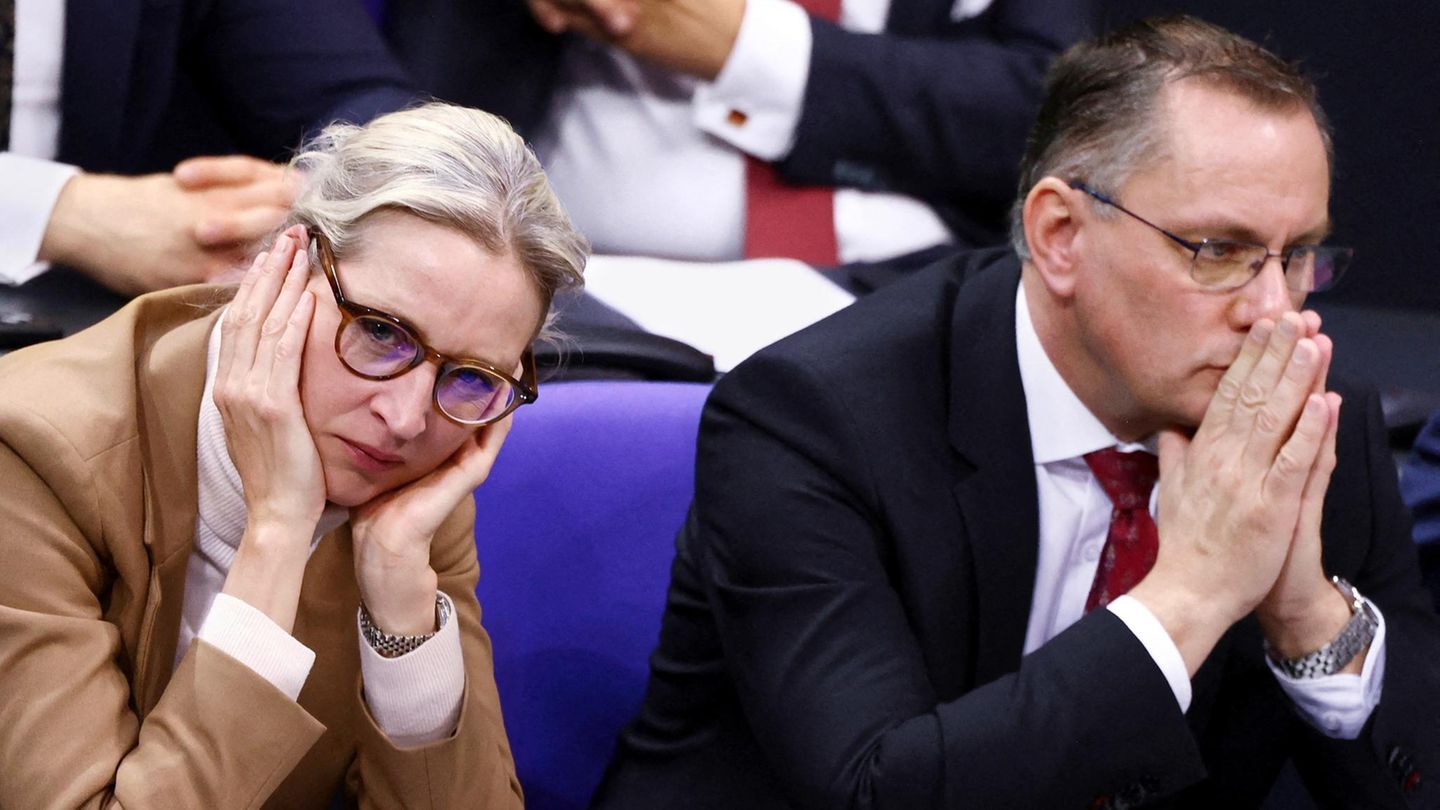Bundestagswahlkampf 2025: AfD verliert Verfahren um Millionenspende gegen Bundestag
