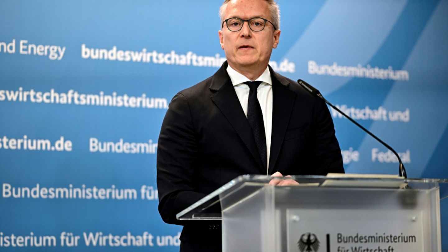 Digitalminister Wildberger