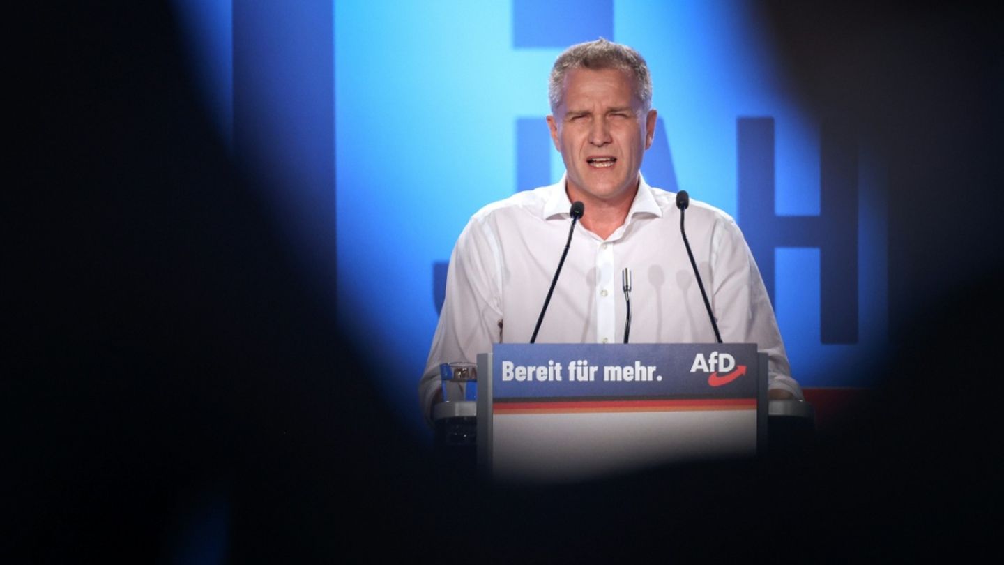 Petr Bystron 2023