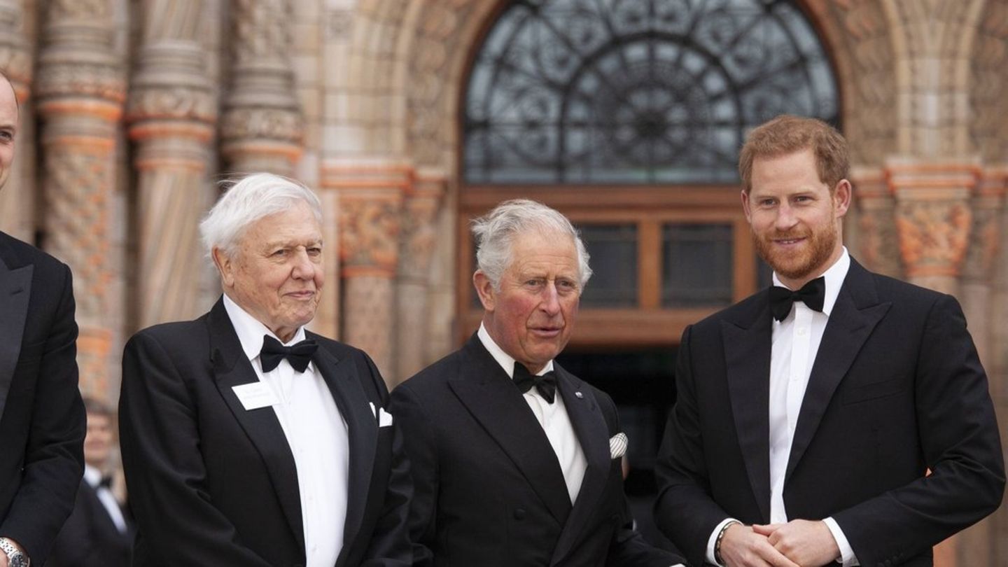 David Attenborough wird 100: Prinz Harry ehrt ihn mit persönlichen Worten