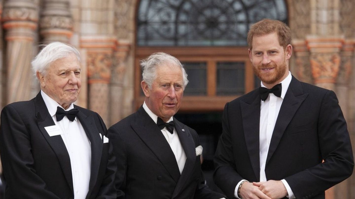 David Attenborough mit König Charles und  und Prinz Harry im Jahr 2019