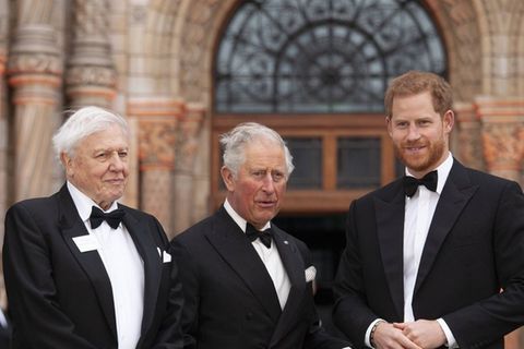 Prinz Harry mit Vater Charles und David Attenborough (li.) im Jahr 2019.