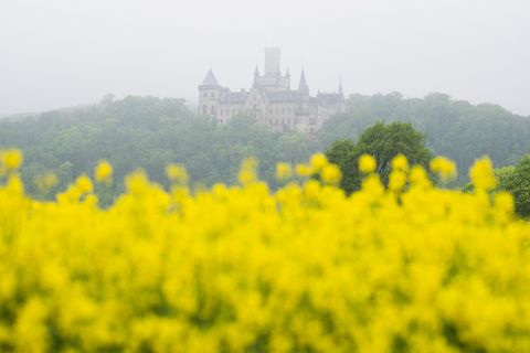 In den kommenden Tagen erwarten Meteorologen teils Sonne, aber auch Schauer. (Symbolbild) Foto: Julian Stratenschulte/dpa