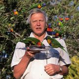 David Attenborough mit Regenbogenloris