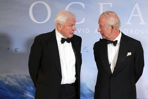 König Charles III. mit David Attenborough bei dessen Filmpremiere 2025.
