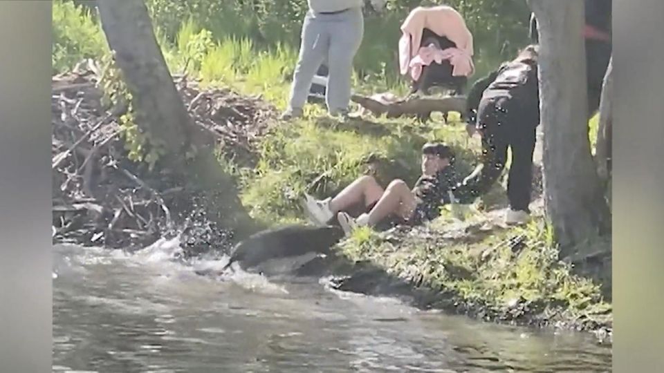 Ein aggressiver Biber greift eine Familie an.