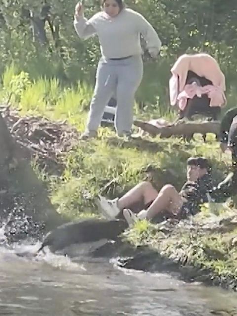 Ein aggressiver Biber greift eine Familie an.