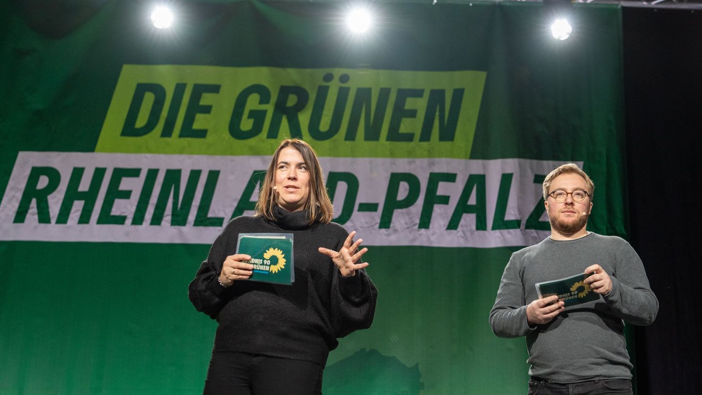 Die bisherige Parteispitze aus Nathalie Cramme-Hill und Paul Bunjes kann nicht wieder kandidieren. (Archivbild) Foto: Harald Tit