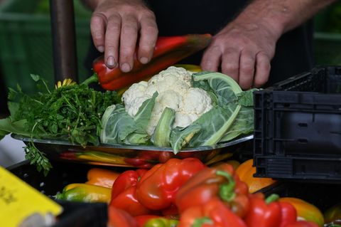 Standbetreiber haben mit fehlendem Personal und gestiegenen Preisen zu kämpfen. (Symbolbild) Foto: Arne Dedert/dpa