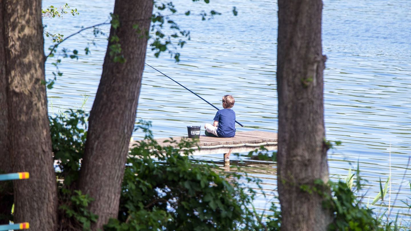 Immer mehr Kinder und Jugendliche im Nordosten wollen angeln. (Symbolbild) Foto: Jens Büttner/dpa-Zentralbild/dpa