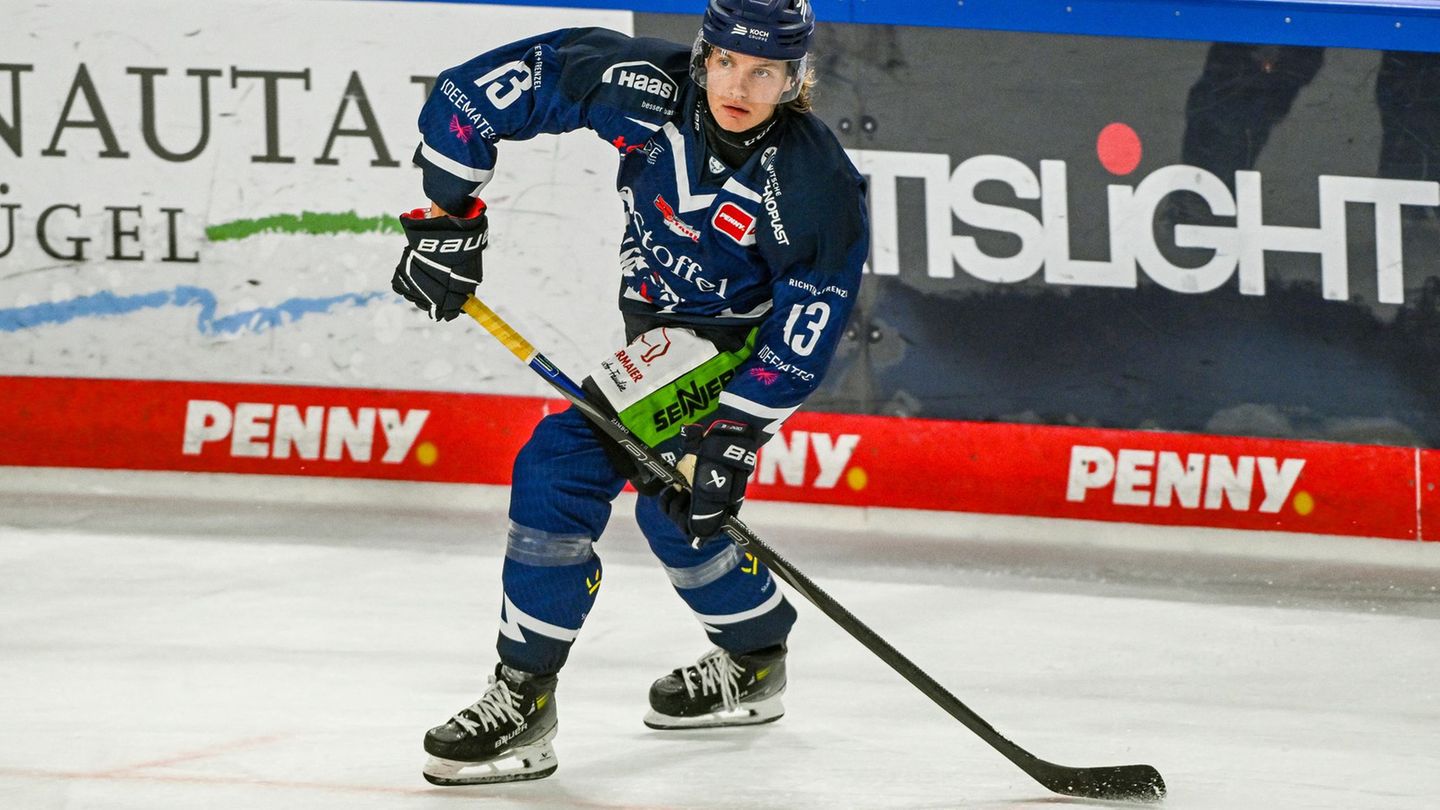 Mario Zimmermann bleibt den Straubing Tigers erhalten. (Archivbild) Foto: Armin Weigel/dpa