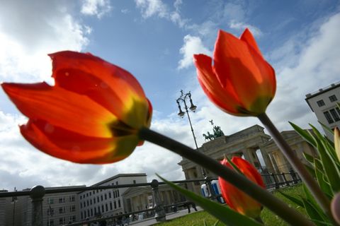 Brandenburger Tor in Berlin